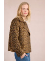 Veste courte imprimé léopard MOLLY BRACKEN Marron