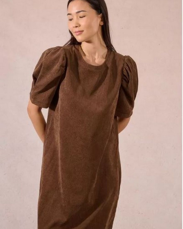 Robe courte P1548DN MOLLY BRACKEN choco