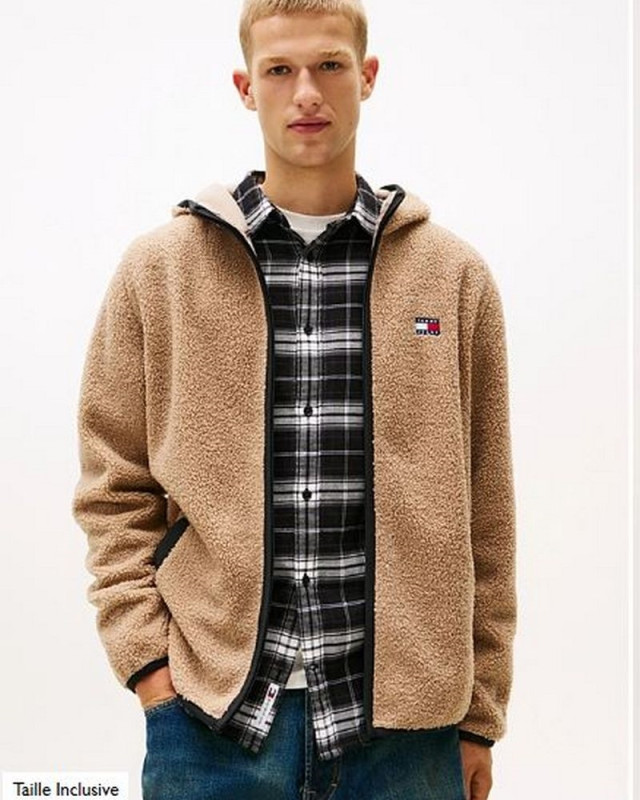 Sweat polaire DM0DM19224 Tjm reg badge teddy TOMMY HILFIGER coastal taupe