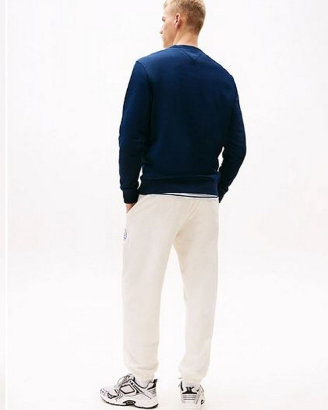 Sweat ras du cou Dm0dm20660 reg badge TOMMY HILFIGER Marine