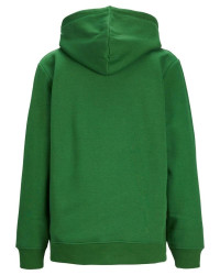Sweat à capuche Jxabbie JJXX Vert