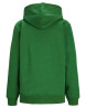 Sweat à capuche Jxabbie JJXX Vert
